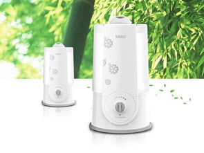 陽(yáng)光普照節(jié)日臨近 優(yōu)質(zhì)生活小家電打造